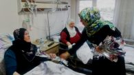 AK Parti Nevşehir Kadın Kolları Hastalara Karanfil Dağıttı
