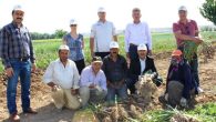 Nevşehir İl Tarım Müdürü Okan YILMAZ Üreticileri Tarım Arazilerinde Ziyaret Etti